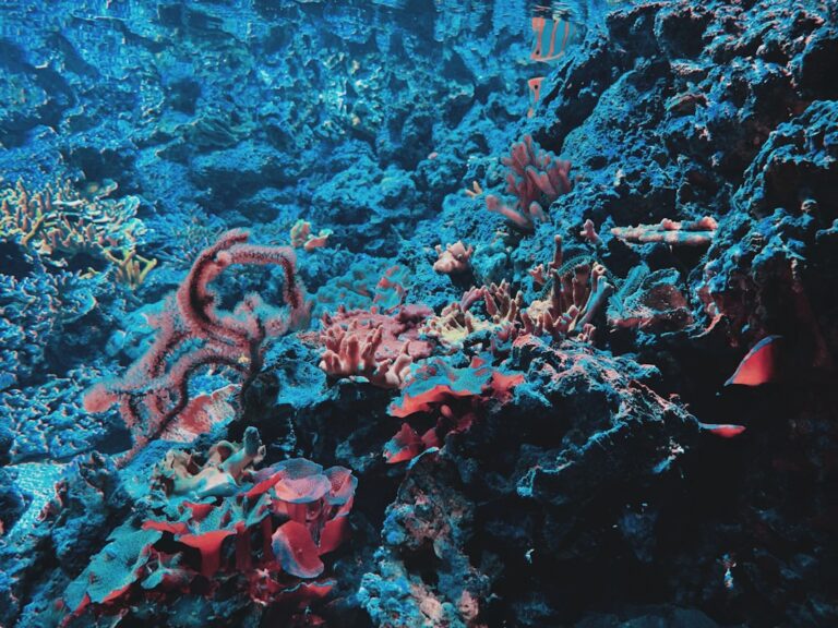 Title: Exploring Kraken’s Innovative Bitcoin Staking Integration with Babylon in the Growing World of BTC DeFi
